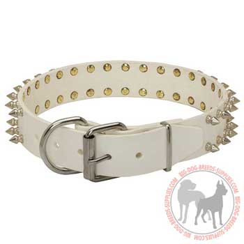 Dog leather collar with rust proof buckle and D-ring