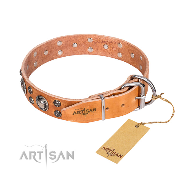 Everyday walking full grain leather collar with studs for your four-legged friend