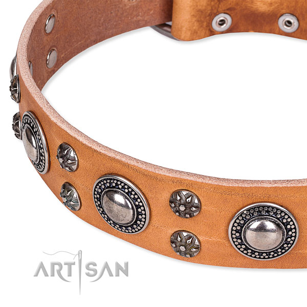 Daily walking natural genuine leather collar with corrosion resistant buckle and D-ring