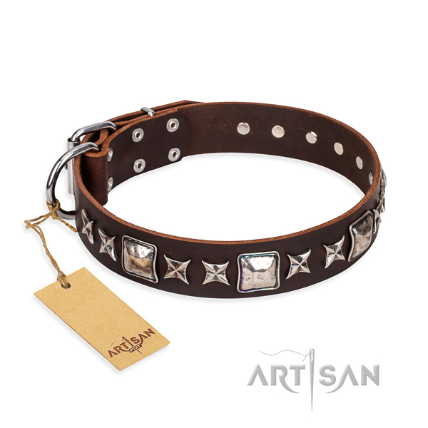 Exquisite leather dog collar for daily use