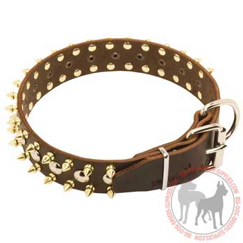 Dog leather collar durable equipment