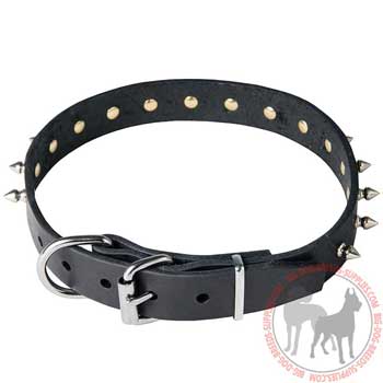 Dog leather collar fancy design