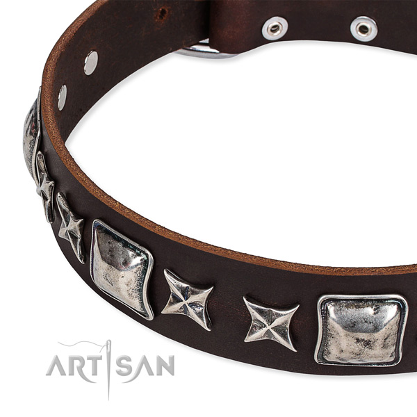 Full grain genuine leather dog collar with decorations for comfy wearing