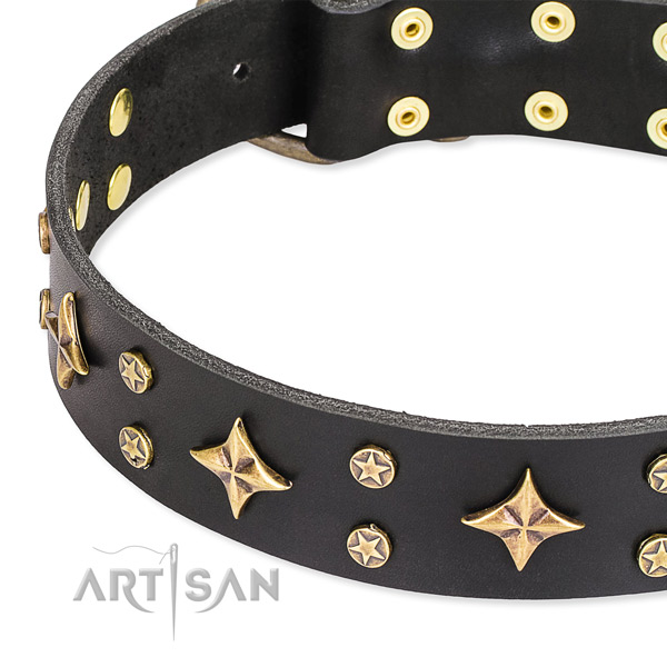 Full grain leather dog collar with extraordinary adornments