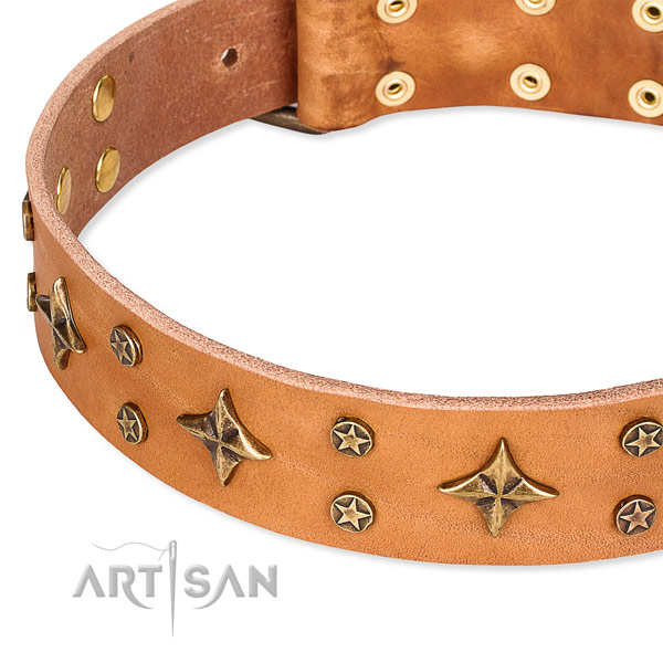 Full grain genuine leather dog collar with exceptional decorations