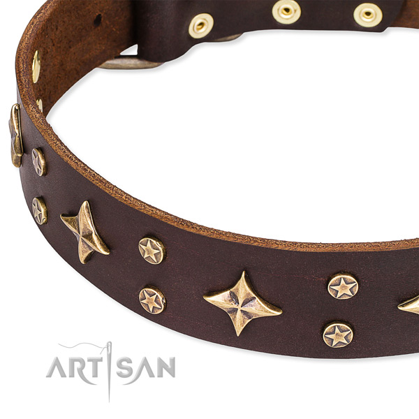 Full grain genuine leather dog collar with trendy studs