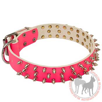 Dog leather collar attractive design