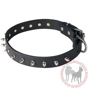 Dog leather collar with rust proof buckle