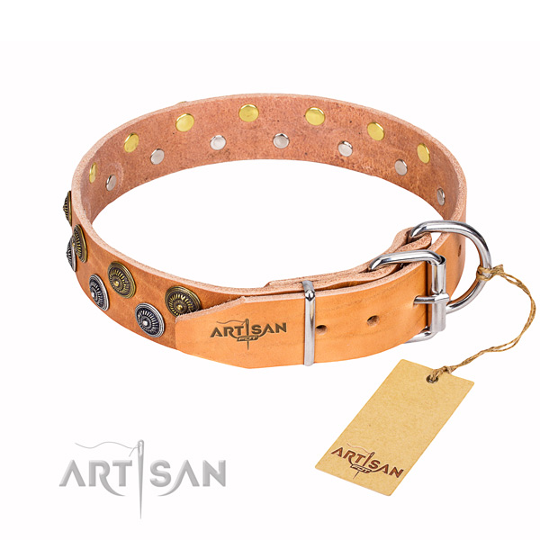 Everyday walking full grain genuine leather collar with decorations for your canine