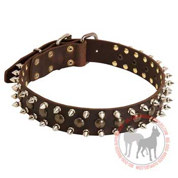 Dog leather collar with solid buckle and D-ring