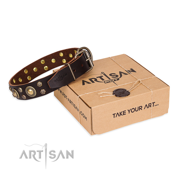 Fine quality full grain natural leather dog collar for walking in style