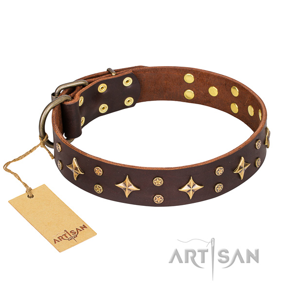 Remarkable leather dog collar for daily use