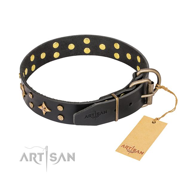 Daily walking full grain leather collar with studs for your canine