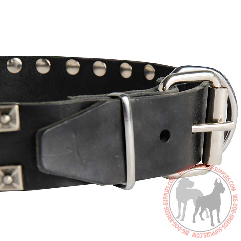 Buy Studded Leather American Bulldog Collar for Fashion Walking