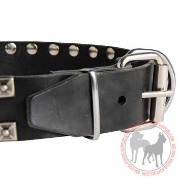 Dog collar of leather with reliably fixed fittings