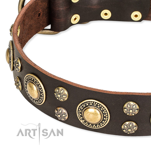 Leather dog collar with top notch adornments