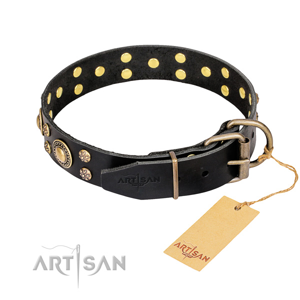 Everyday walking full grain leather collar with decorations for your four-legged friend
