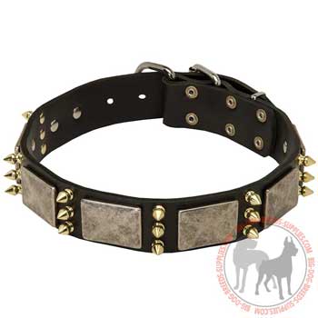 Dog collar of leather with original decoration