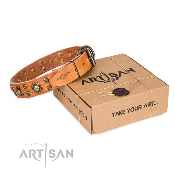 Full grain natural leather dog collar with embellishments for everyday walking