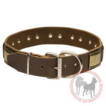 Leather dog collar with D-ring and buckle