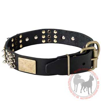 Leather dog collar with brass D-ring and buckle