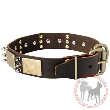 Dog collar of leather with strong buckle