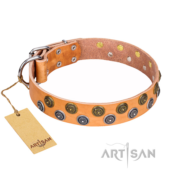 Inimitable full grain genuine leather dog collar for walking