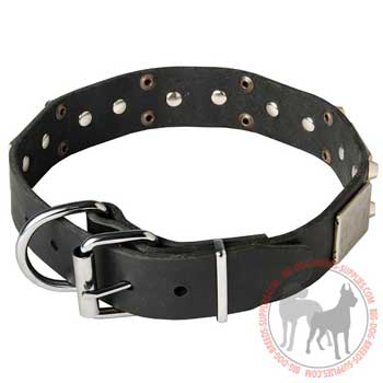 Leather dog collar with attachment for on-lead training 