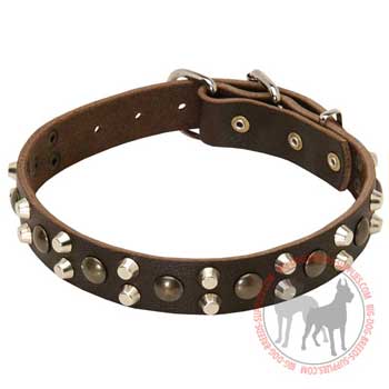 Dog leather collar with rust resistant buckle and D-ring