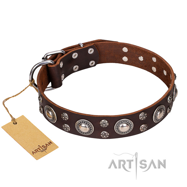 Strong leather dog collar with sturdy elements