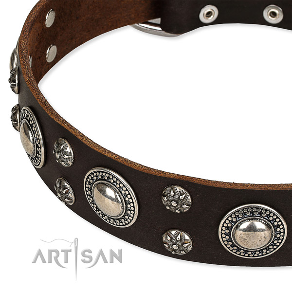 Easy to put on/off leather dog collar with extra sturdy durable fittings