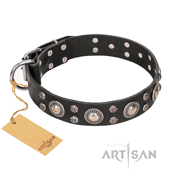 Durable leather dog collar with rust-proof details
