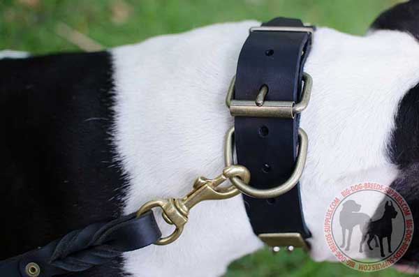 Collar for dogs with D-ring and buckle