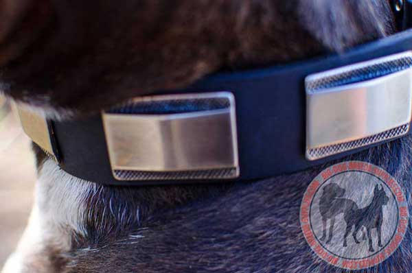 Dog collar with rustproof nickel plates