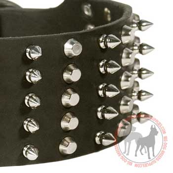 Dog wide leather collar with decoration