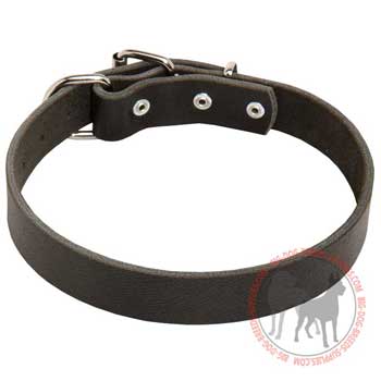 Dog collar leather for safe and easy walking