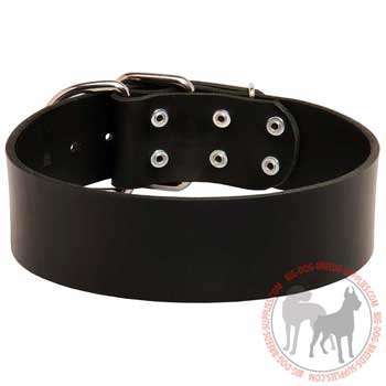 Leather dog collar with perfect width