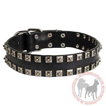 Dog leather studded collar for various purposes