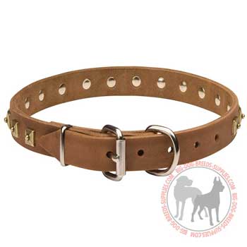 Dog leather collar with   nickel plated buckle