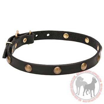 Elegant Leather Collar for Daily Walking