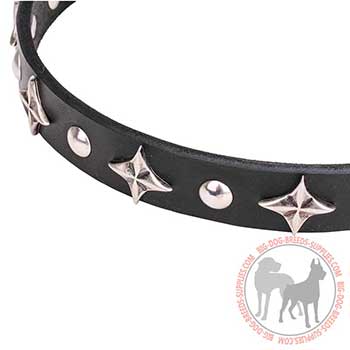 Leather Dog Collar with Striking Design
