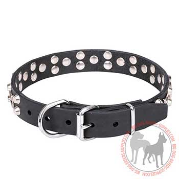 Leather Dog Collar with Chrome-plated Buckle