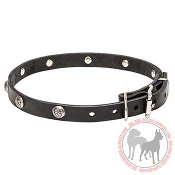 Leather Dog Collar with Leaf Studs