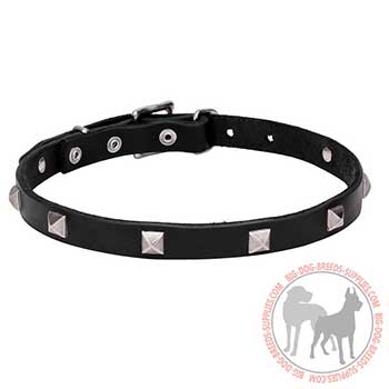 Narrow Leather Collar with Stylish Decoration