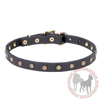 Black Leather Collar with Star Studs
