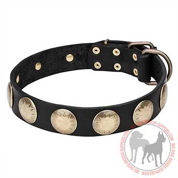 Leather Dog Collar with Corrosion-proof Decorations