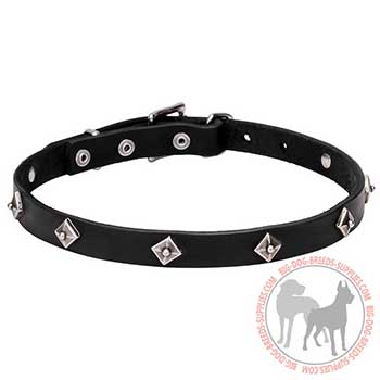 Leather Dog Collar for Daily Walking