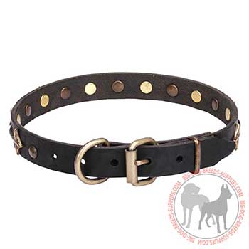 Leather Dog Collar - Lasting Brass Hardware