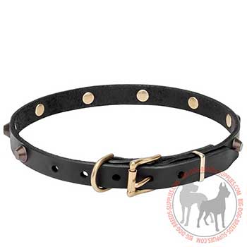 Decorated Leather Dog Collar for Trendy Walking