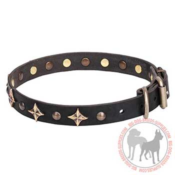 Leather Dog Collar with Stars Design